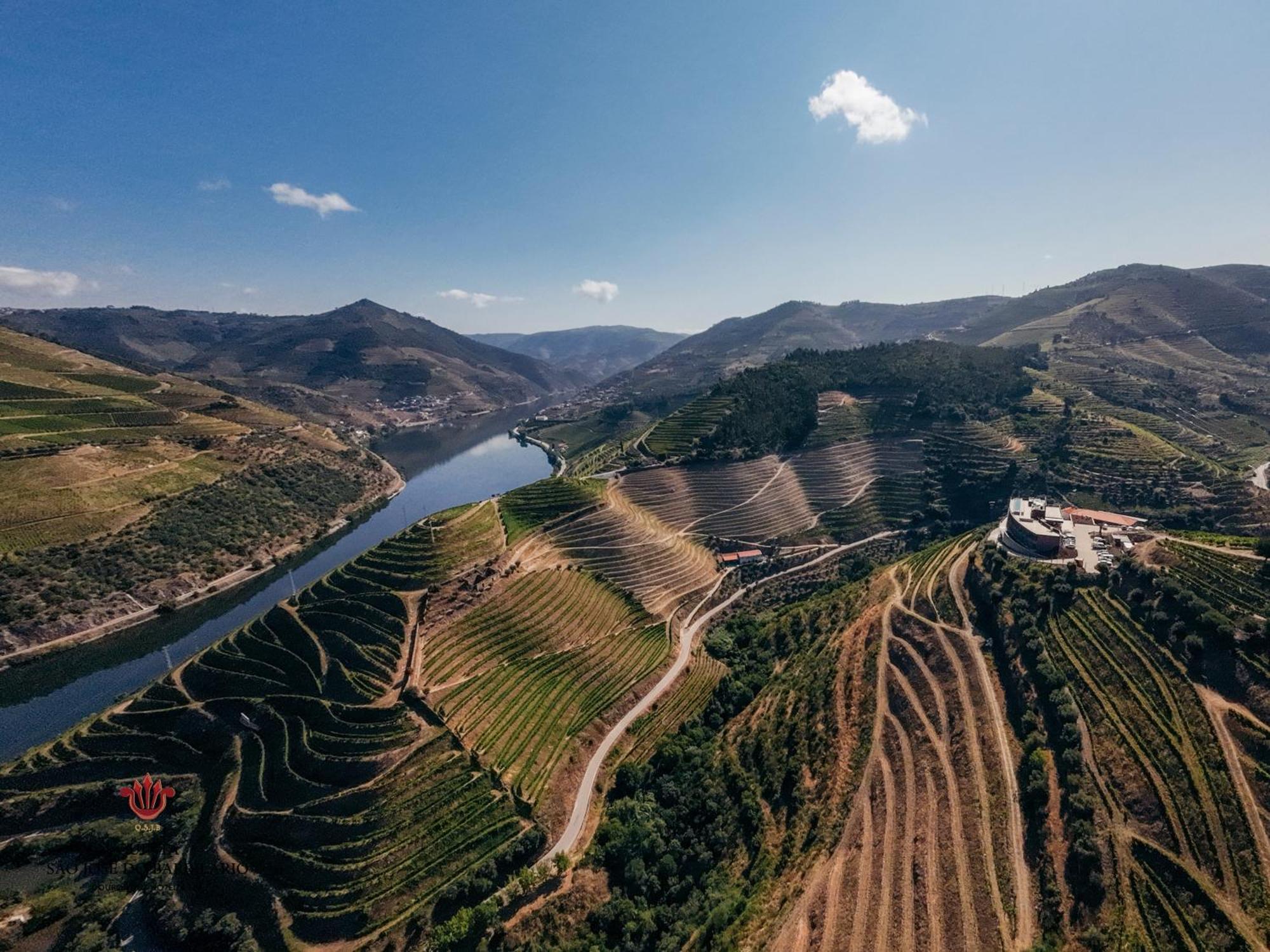 Barrilario Douro Wine Hotel E Spa - Quinta Sao Jose Do Barrilario Armamar Exteriör bild